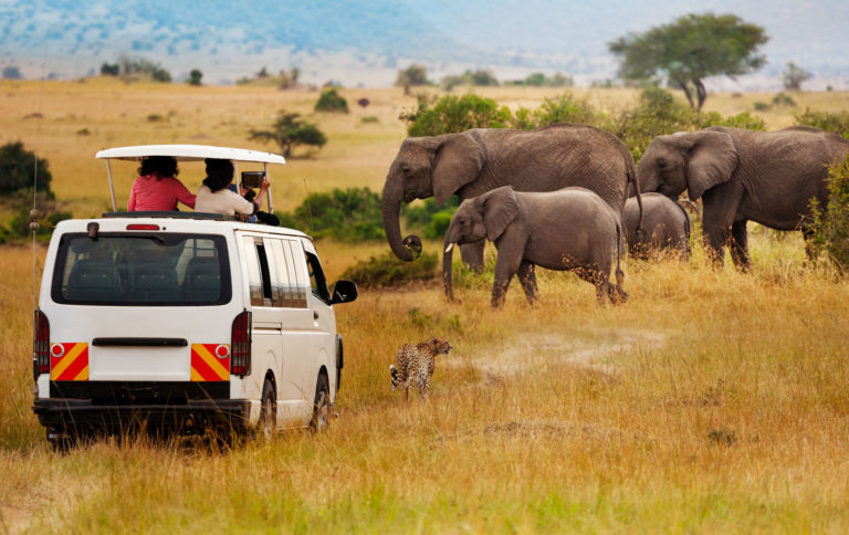 Afrika Reisen Gruppenreisen - TravelLife Reisebüro für Afrikareisen