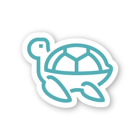 Ozeanienreisen - Schildkröte ICON