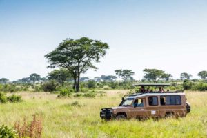 Safari im Queen Elizabeth National Park Uganda