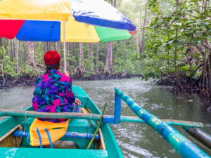 Mangroven Flussfahrt in Philippinen