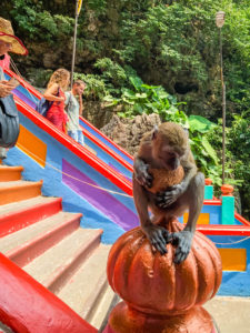 Malaysia Batu Caves Monkey