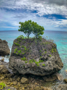 Malaysia Beach