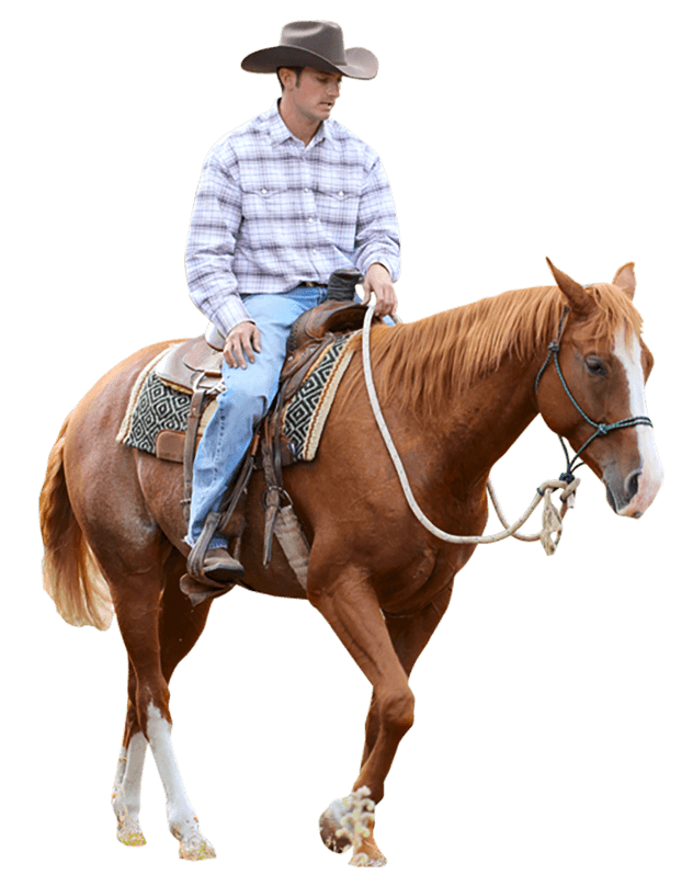 Nordamerika Cowboy