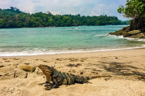 Costa Rica - Pazifikküste Playa Monstrencal