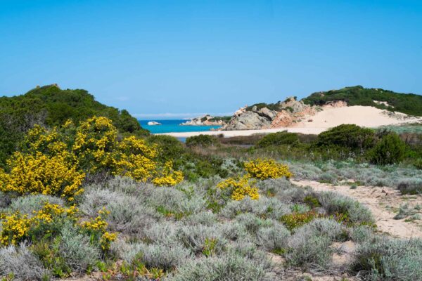 La Maddalena Insel Sardinien Italien