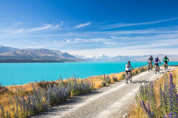 Neuseeland Lake Pukaki