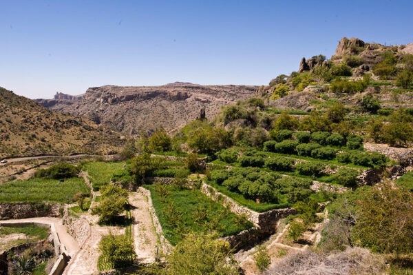 Oman Jebel Akhdar