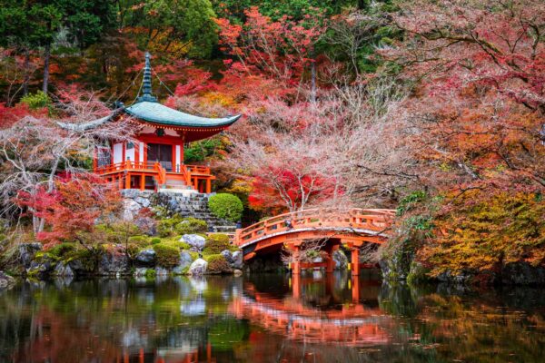 Asien - daigoji temple in autumn kyoto japan