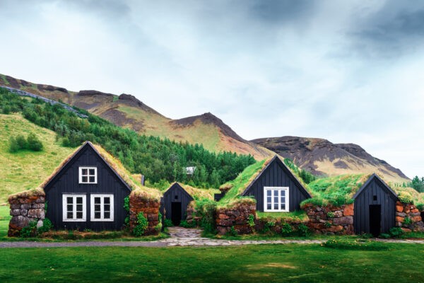 Traditional houses with grass on roof