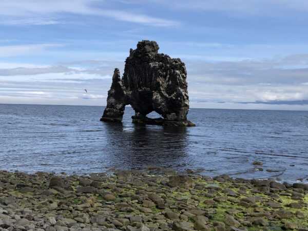 Hvitserkur-Halbinsel Vatnsnes Island