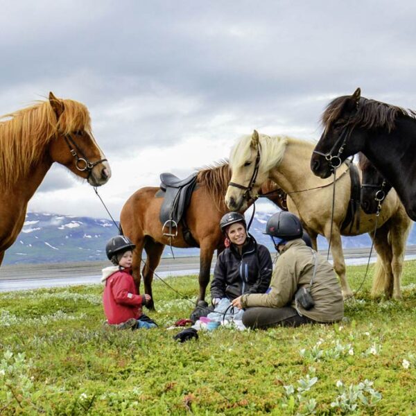 Island Familienreise Im Land der Elfen und Trolle