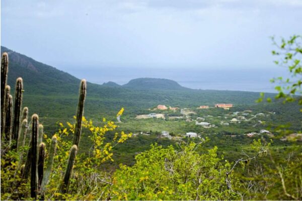 Karibik ABC-Inseln Curacao Christoffelpark