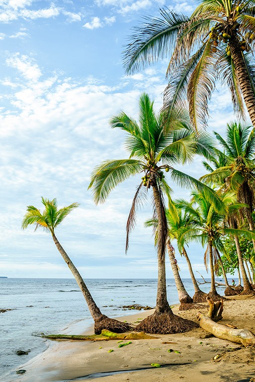 Costa Rica, Limon, Puerto Viejo, Chiquita Beach