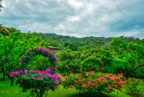 Costa Rica Monteverde Cloud Forest Lodge Gardens