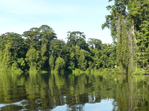 Tortuguero Canal